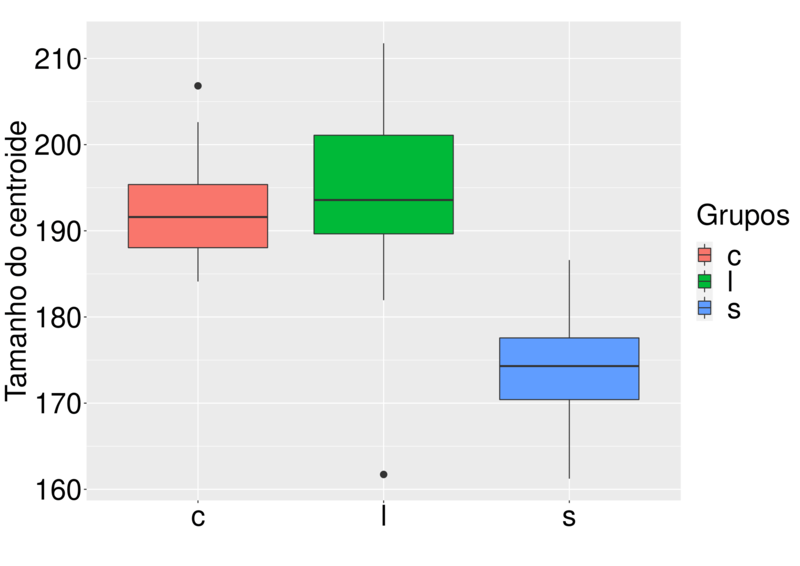 dados das vértebras de camundongos. /ratos.png